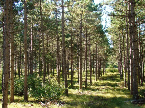 8 Hidden Trl #8, Nekoosa, WI 54457