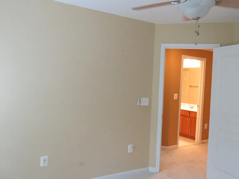 4484 Black Ironwood Dr — Photo 22