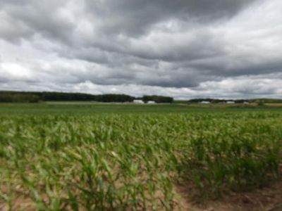 County Road 9, Staples, MN, 56479