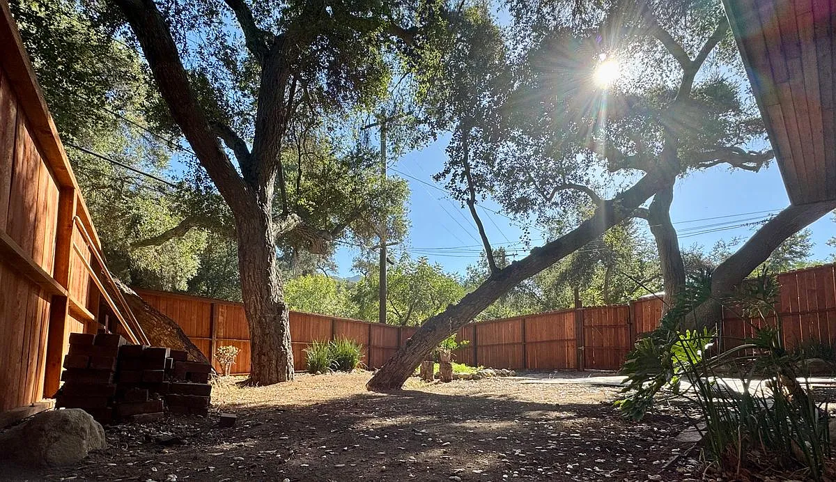 1 bed, 1.0 bath, 850 sqft, $3,750 — Photo 2