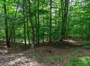 0 Castleman Rd, Franklin, NC 28734