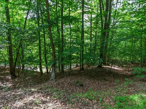 0 Castleman Rd, Franklin, NC 28734