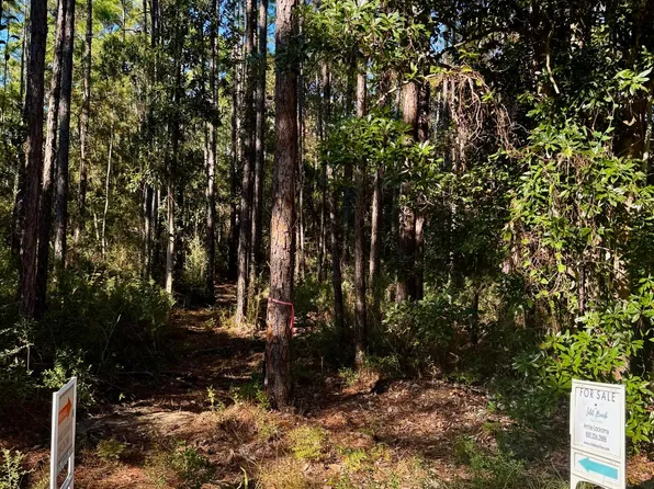 12 14th St S, Santa Rosa Beach, FL 32459