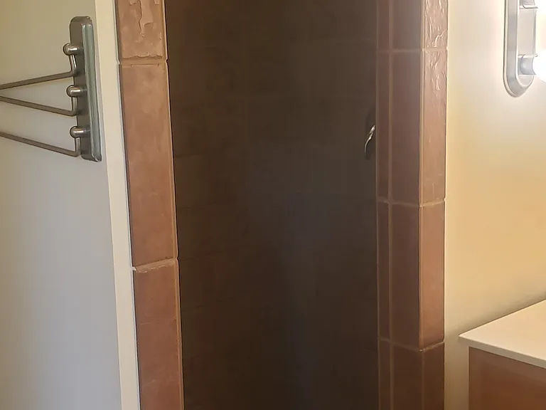 Master bath shower.