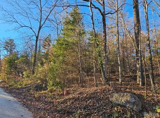 LOT 5 Carter Rte W #133, Van Buren, MO 63965