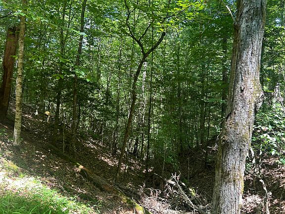 41st image of this home