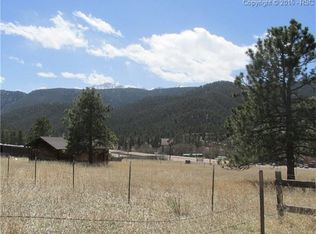 11090 4th St, Woodland Park, CO 80863