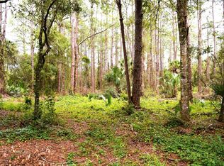 203 Guise Rd, Osteen, FL 32764