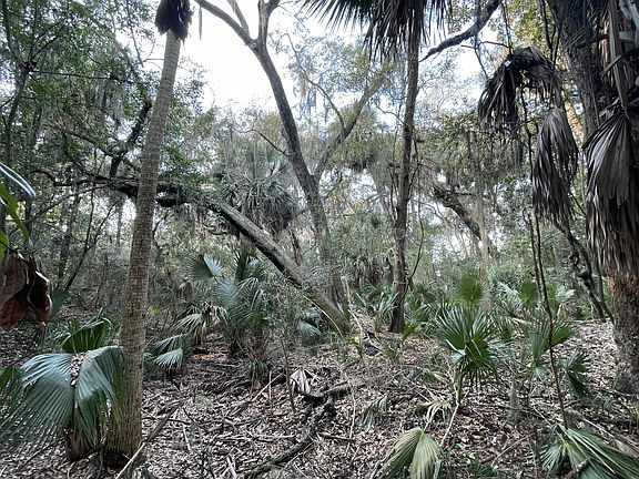 2nd image of 539 Oristo Rdg