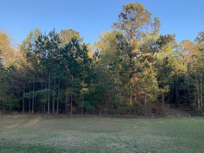 2nd image of TBD Louisville Road