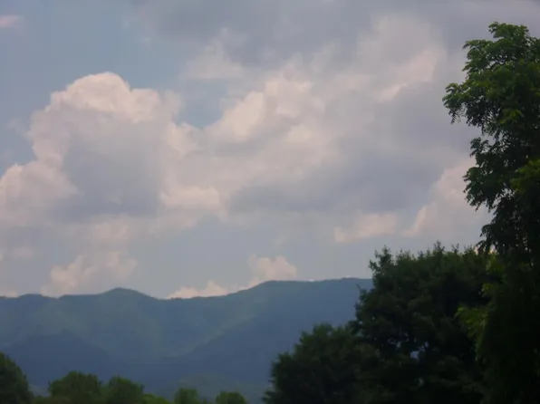 493 Little Snowbird Trl, Andrews, NC 28901