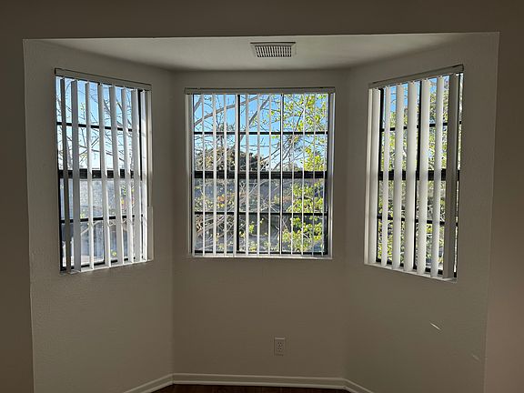 Living room windows
