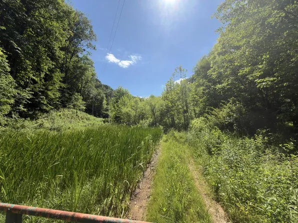 0 Hickman Fork Rd, Louisa, KY 41230