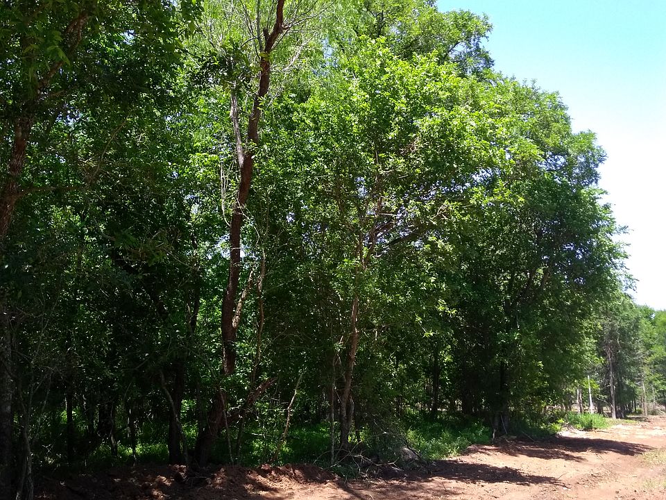 2nd image of 218 Keawakapu Dr