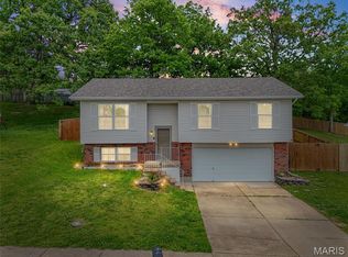 1120 Valentine St, Festus, MO 63028