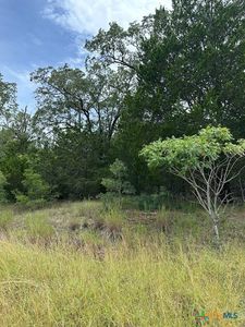 LOT Forteen Ripple Brook Dr, Bastrop, TX, 78602