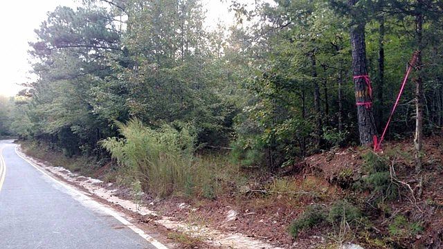 2nd image of 21 Zellner Rd