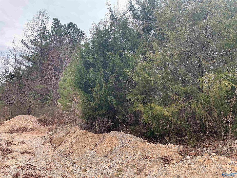 2nd image of Sunhill Rd