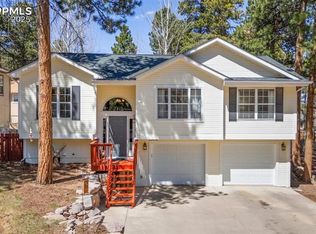 1030 W Browning Ave, Woodland Park, CO 80863