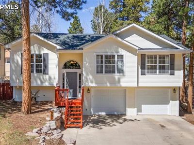 1030 W Browning Ave, Woodland Park, CO, 80863