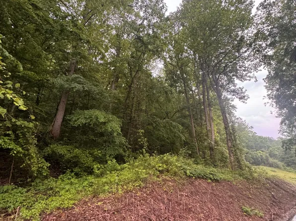 499 Little Bullskin Rd, Oneida, KY 40972