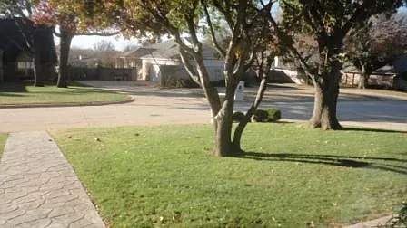 View from front door