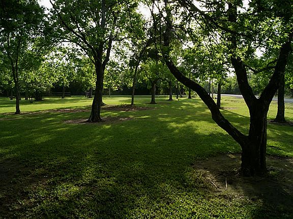 VIEW ACROSS FRONT YARD