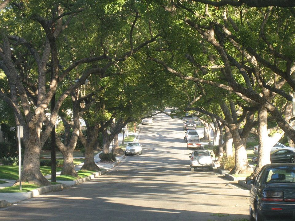 Drive up tre lined street to "YOUR" home
