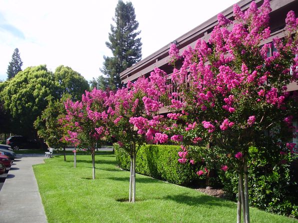 Silverado Orchards | 601 Pope St, Saint Helena, CA
