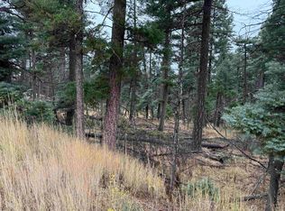 181 Taos Dr, Angel Fire, NM 87710