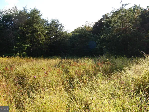 60 Buffalo Ridge Rd, Augusta, WV 26704