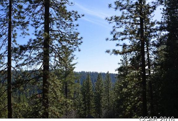 2nd image of 1838 Bear Clover Dr