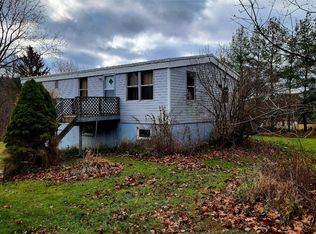 344 Palmer Hill Rd, Pt Crane, NY 13833