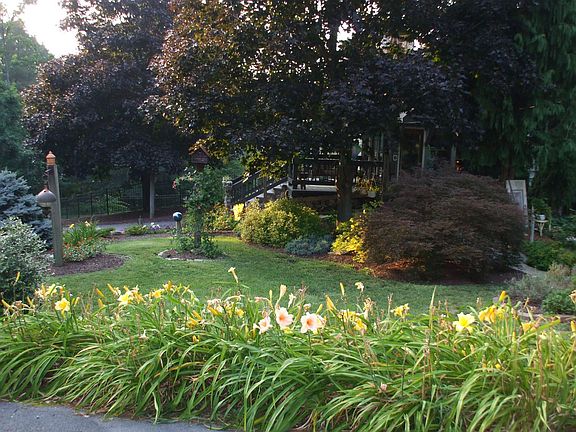 side view