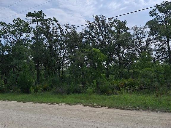 3rd image of 18308 PARAKEET ROAD LOT 32