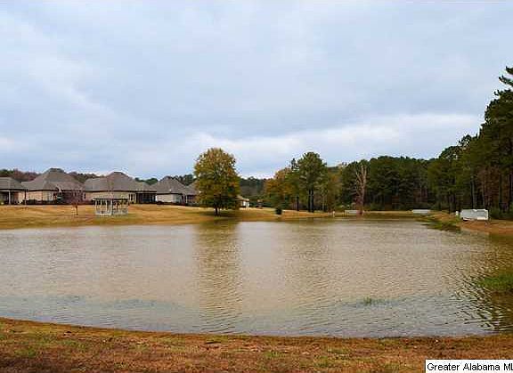 2nd image of 100 Willow Lake Ln