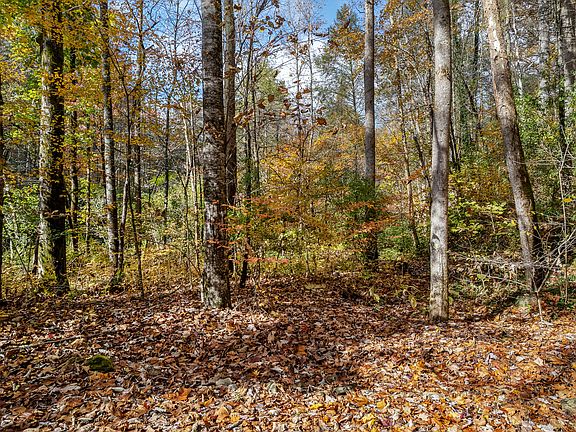 2nd image of 0 River Rd