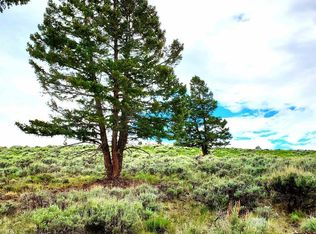 231 Schofield Trail, Powderhorn, CO 81243