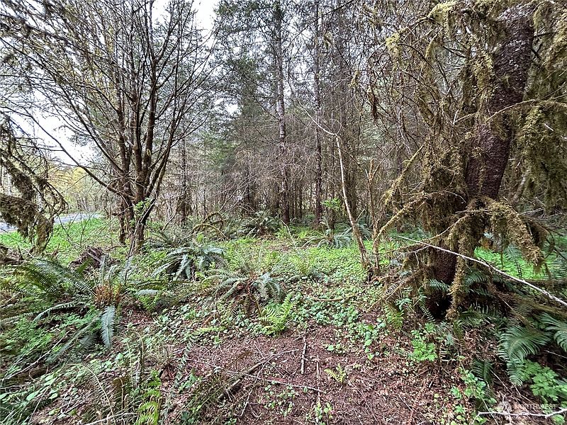 5th image of 0 Lot 4 Abernathy Creek Road
