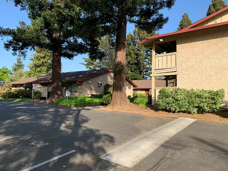 Sandalwood Apartments — Photo 10