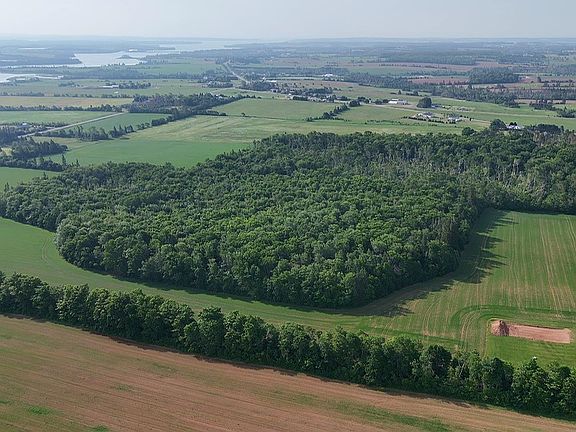 2nd image of LOT 5 N York Point Rd