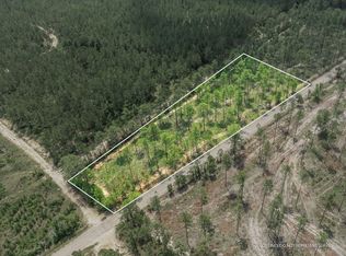 Courtney Rd, Lumberton, MS 39455