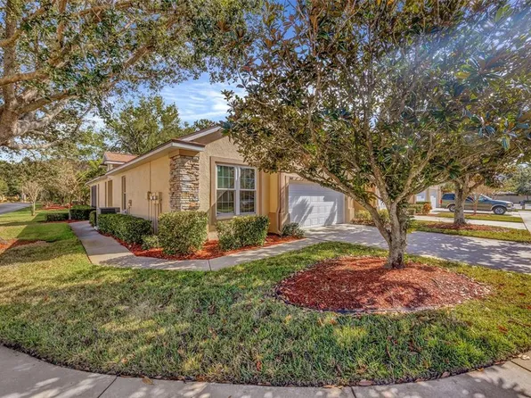 3601 Savannah Lake Pl, Valrico, FL 33596