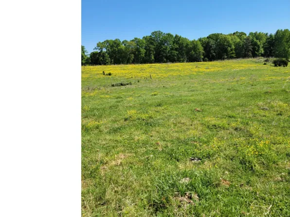 293 Brookhaven Cir, Toccoa, GA 30577
