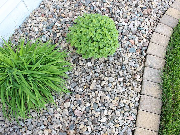 3rd image of 720 Liinhaven Ln NE