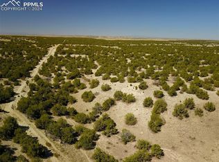 41088 Bear Springs Trl, Model, CO 81059