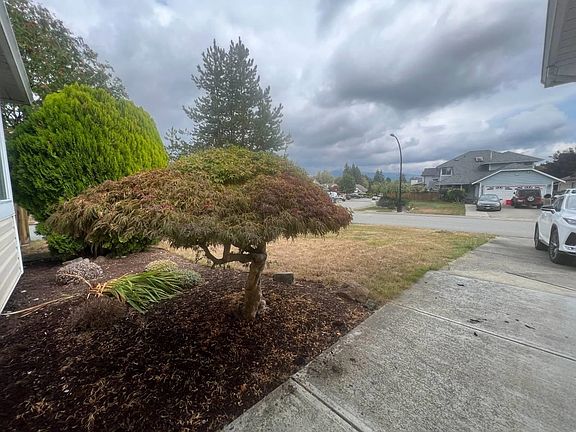 3rd image of 12169 Cherrywood Dr