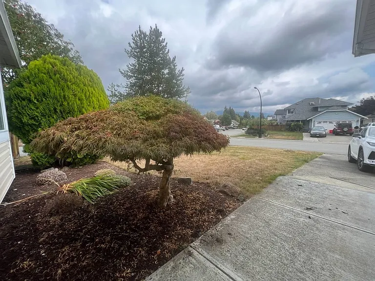 12169 Cherrywood Dr — Photo 3