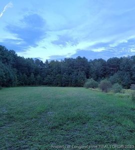 10505 Ruth Vinson Rd, Autryville, NC, 28318