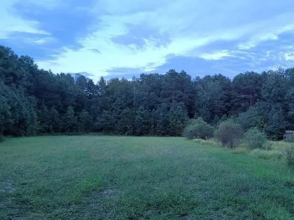 10505 Ruth Vinson Rd, Autryville, NC 28318